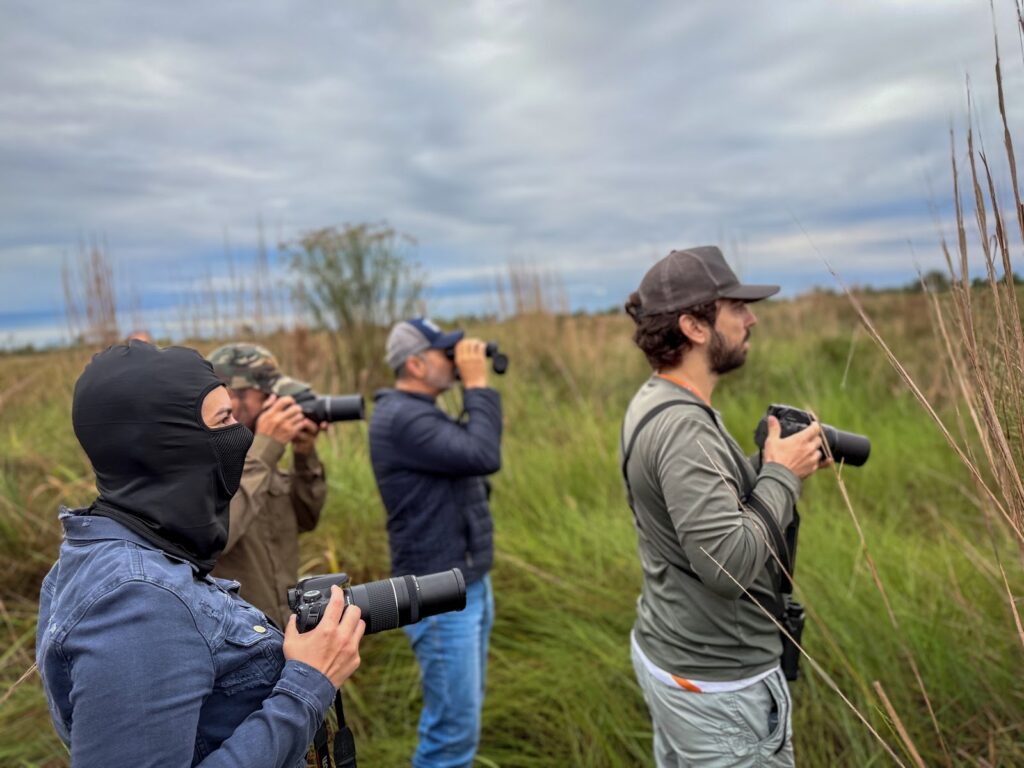 Grupo de condutores em formação observando e fotografando aves no campo