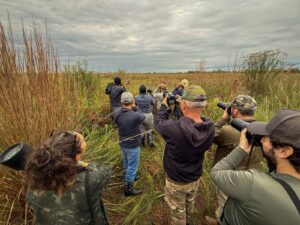 Turma caminhando pelo campo durante saída de observação de aves